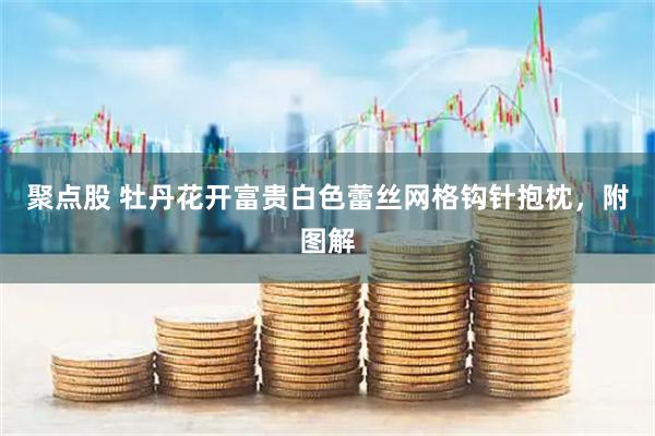 聚点股 牡丹花开富贵白色蕾丝网格钩针抱枕，附图解